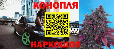 мяу мяу мука Камышлов